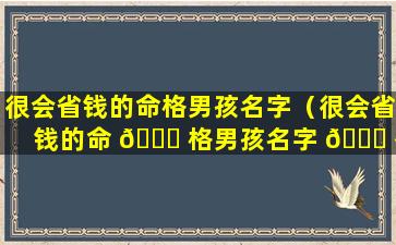 很会省钱的命格男孩名字（很会省钱的命 🕊 格男孩名字 💐 有哪些）